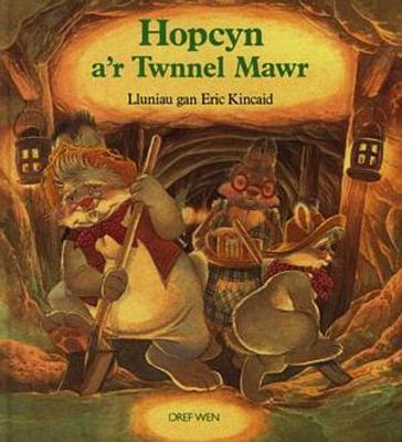 Book cover for Cyfres Hopcyn: Hopcyn a'r Twnnel Mawr