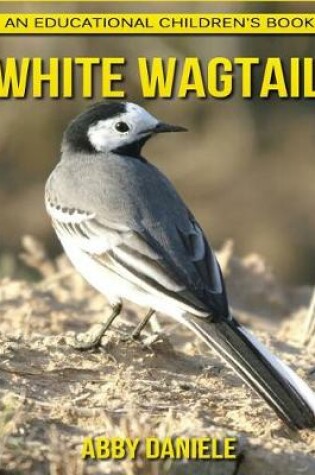 Cover of White Wagtail! An Educational Children's Book about White Wagtail with Fun Facts & Photos