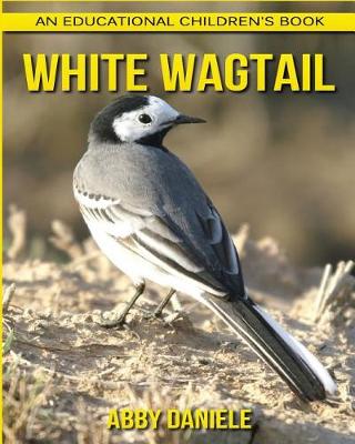 Book cover for White Wagtail! An Educational Children's Book about White Wagtail with Fun Facts & Photos