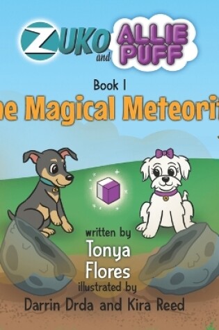 Cover of The Magical Meteorite