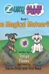 Book cover for The Magical Meteorite