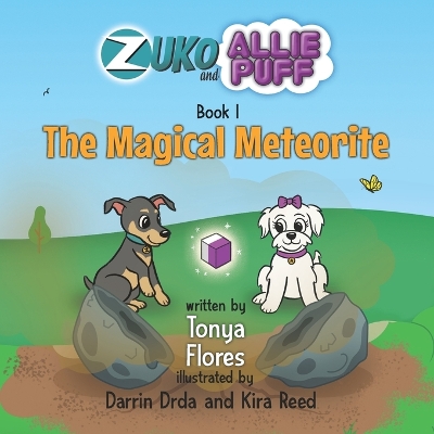 Book cover for The Magical Meteorite