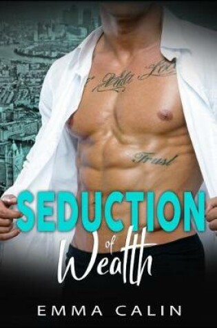 Cover of Seduction of Wealth