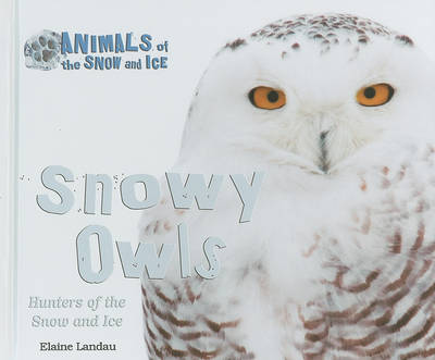 Book cover for Snowy Owls