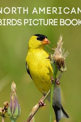 Cover of North American Birds Picture Book