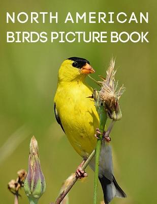 Book cover for North American Birds Picture Book