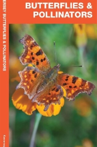 Cover of New Jersey Butterflies & Pollinators