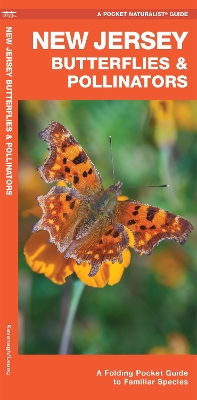 Book cover for New Jersey Butterflies & Pollinators