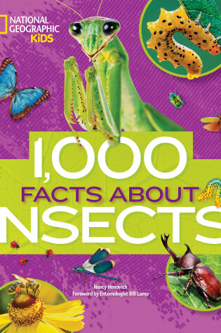 Cover of 1,000 Facts About Insects