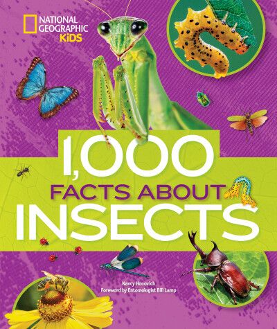Book cover for 1,000 Facts About Insects