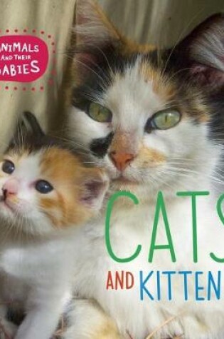 Cover of Cats and Kittens