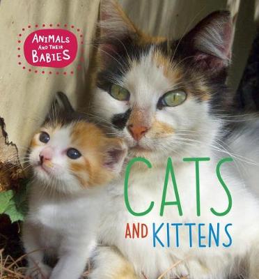Book cover for Cats and Kittens