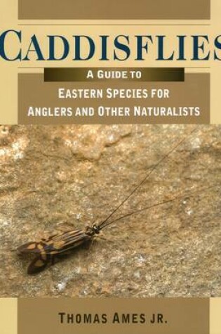 Cover of Caddisflies