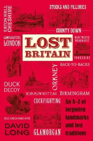 Cover of Lost Britain