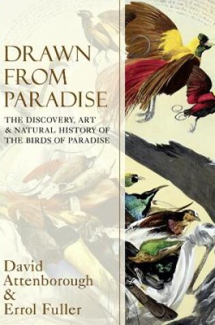 Cover of Drawn From Paradise