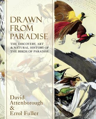 Book cover for Drawn From Paradise
