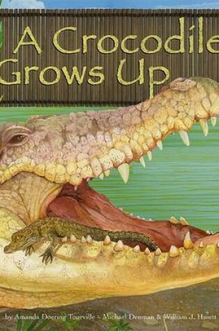 Cover of A Crocodile Grows Up