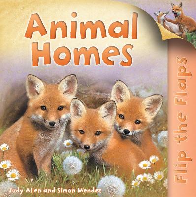 Book cover for Flip the Flaps: Animal Homes