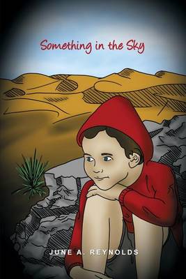 Book cover for Something in the Sky