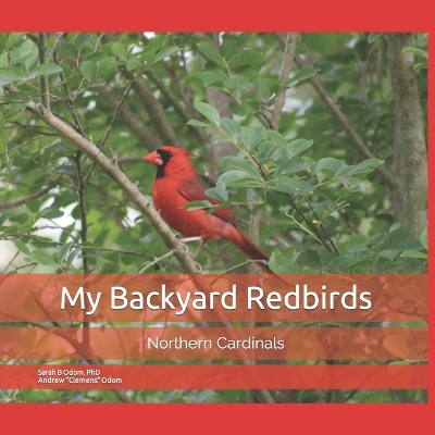 Book cover for My Backyard Redbirds