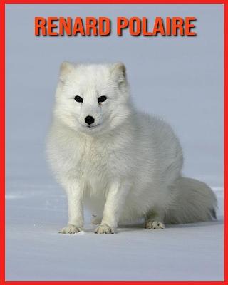 Book cover for Renard Polaire