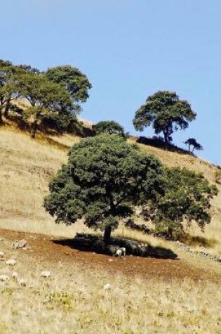 Cover of Sheep in the Hills of Sardinia, Italy Journal