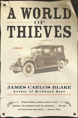 Book cover for A World of Thieves
