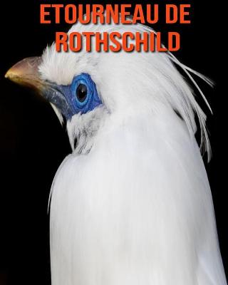 Book cover for Etourneau de Rothschild