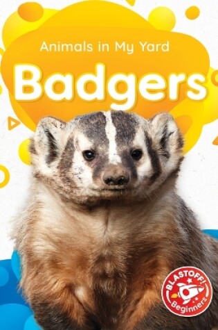 Cover of Badgers