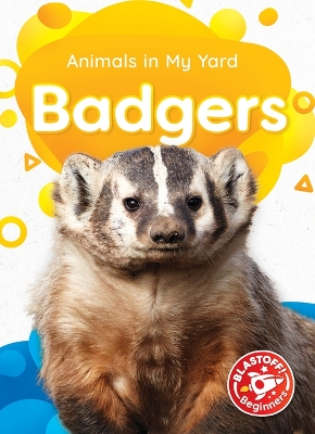 Cover of Badgers