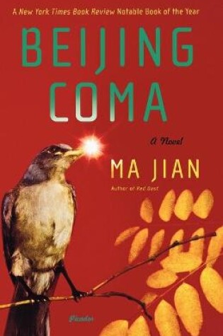 Cover of Beijing Coma