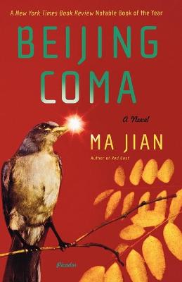 Book cover for Beijing Coma