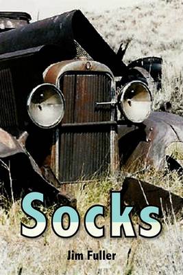 Book cover for Socks