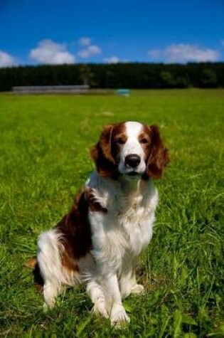 Cover of The Welsh Springer Spaniel Dog Journal