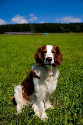 Book cover for The Welsh Springer Spaniel Dog Journal