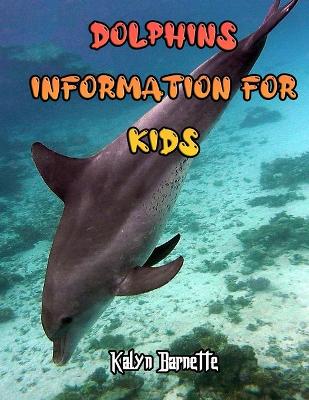 Book cover for Dolphins Information for Kids