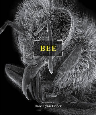 Cover of Bee