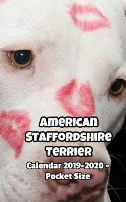 Book cover for American Staffordshire Terrier Calendar 2019-2020 - Pocket Size