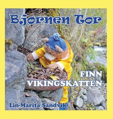 Book cover for Bjørnen Tor finn vikingskatten