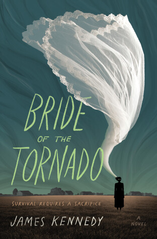 Book cover for Bride of the Tornado