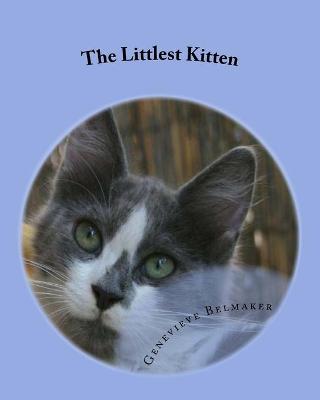 Book cover for The Littlest Kitten