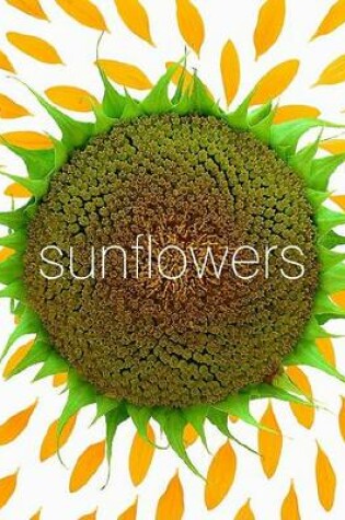 Cover of Sunflower Small Note Cards