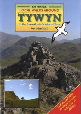 Book cover for Local Walks Around Tywyn