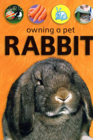 Cover of Rabbit