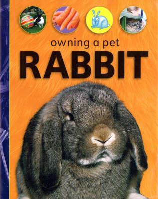 Cover of Rabbit