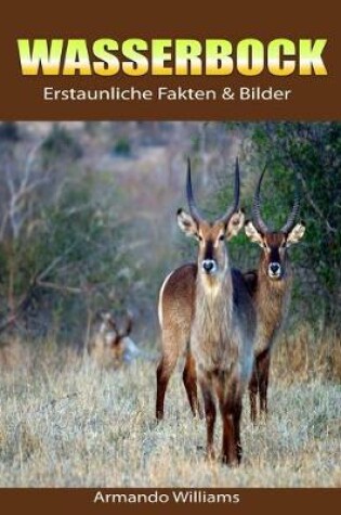 Cover of Wasserbock