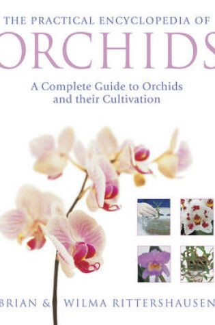 Cover of Practical Encyclopedia of Orchids