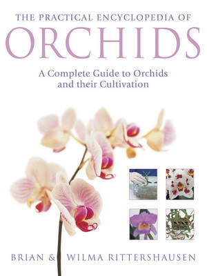 Book cover for Practical Encyclopedia of Orchids