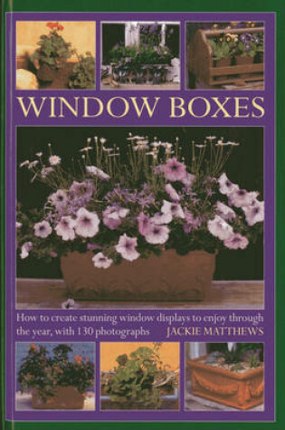 Cover of Window Boxes