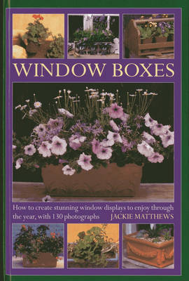 Book cover for Window Boxes